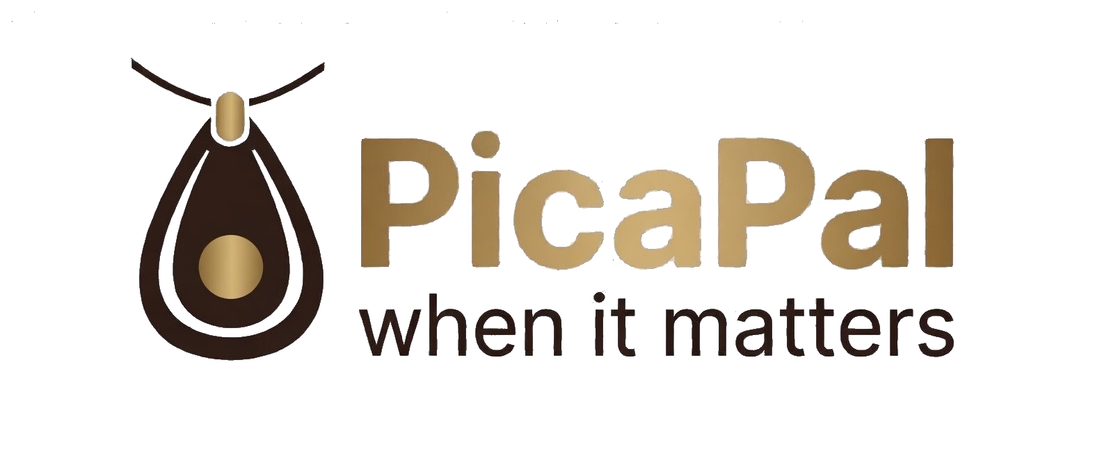 PicaPal - when it matters